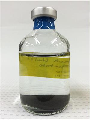 Microbial Metabolism and Community Dynamics in Hydraulic Fracturing Fluids Recovered From Deep Hydrocarbon-Rich Shale